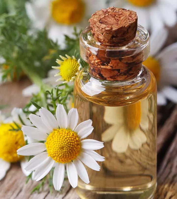 German Chamomile Oil