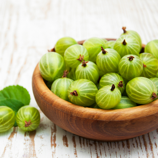 Amla (Gooseberry) Oil - Certified Organic