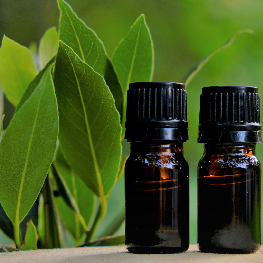 Bay Leaf Oil - Certified Organic