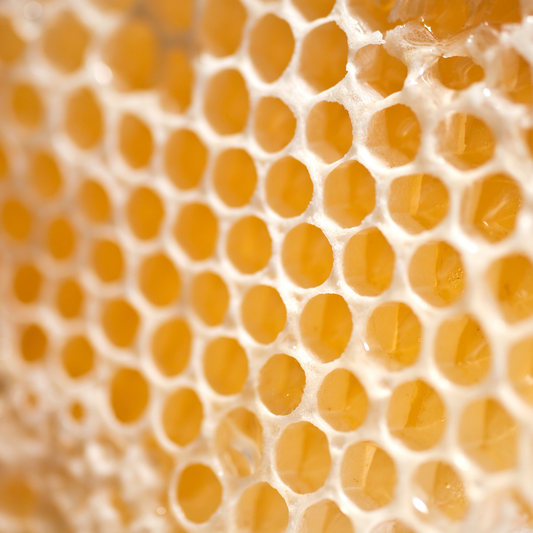 Beeswax - Certified Organic