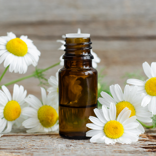 Chamomile Oil