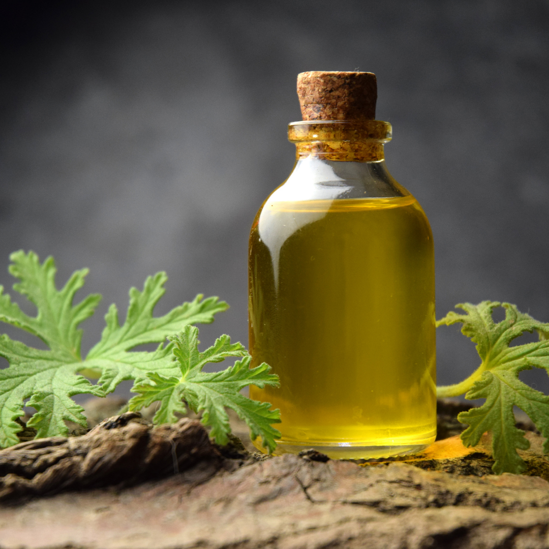 Citronella Oil