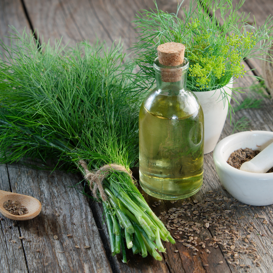 Dill Oil - Certified Organic