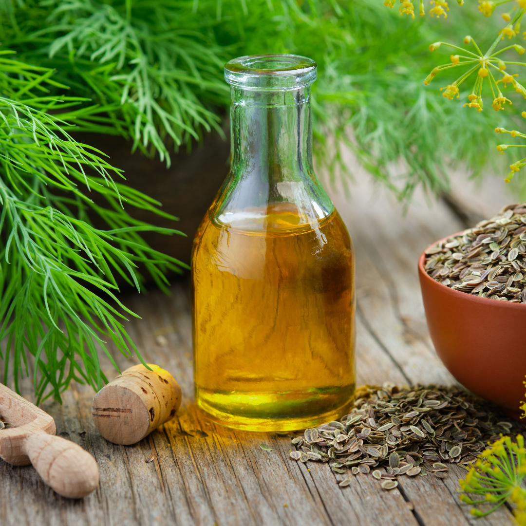 Dill Seed Oil