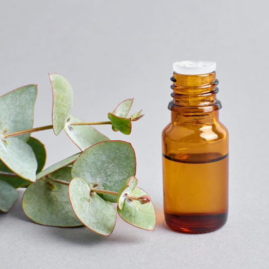 Eucalyptus Oil - Certified Organic