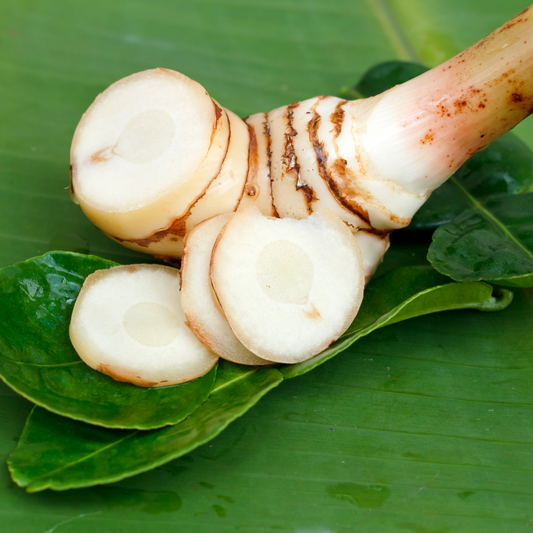 Galangal Root-(Alpinia Galanga)-Extract - Certified Organic