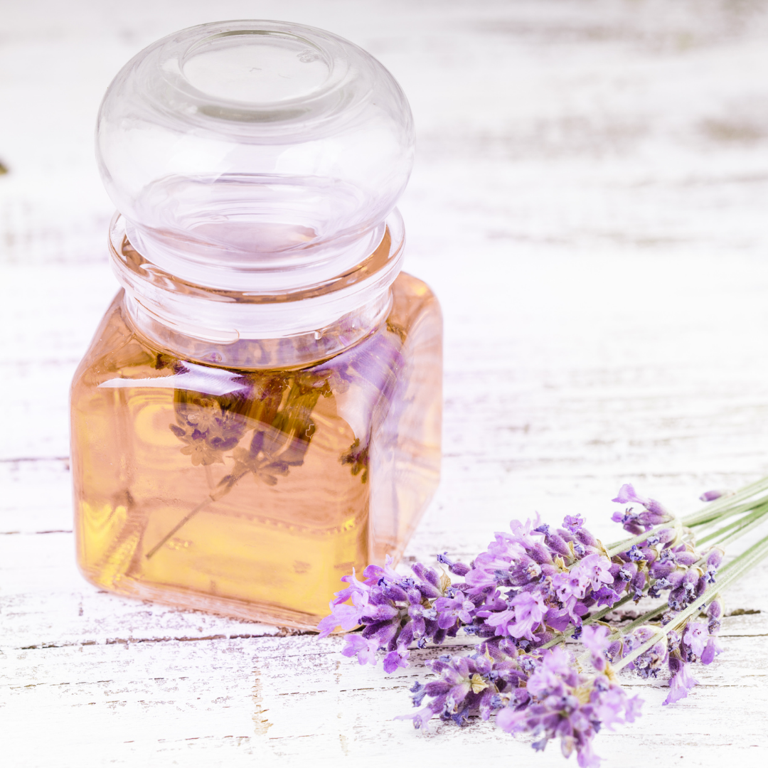 Lavender Extract