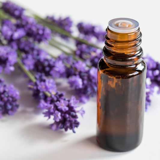 Lavender Oil