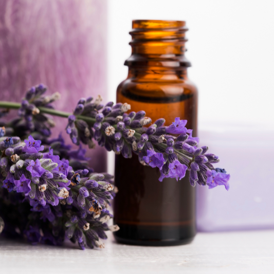 Lavender/Lavandin Oil