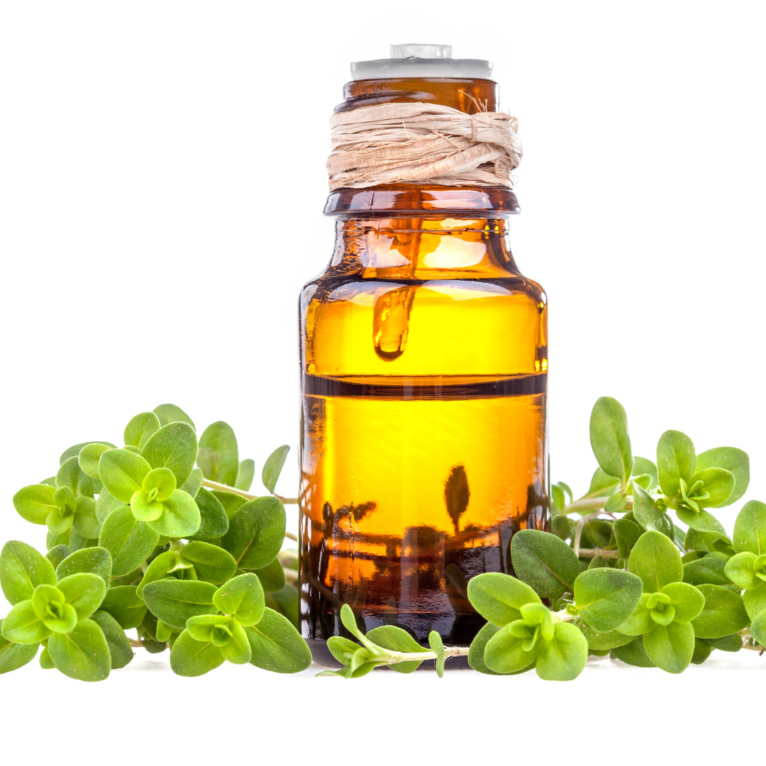 Marjoram Oil