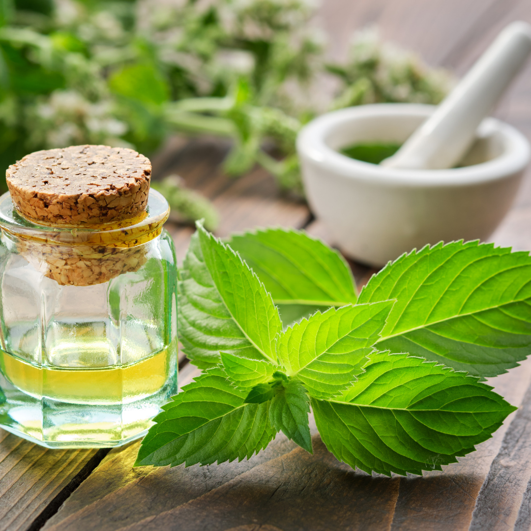 Mentha Oil