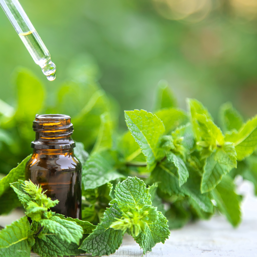 Menthol Liquid Flakes – My Store