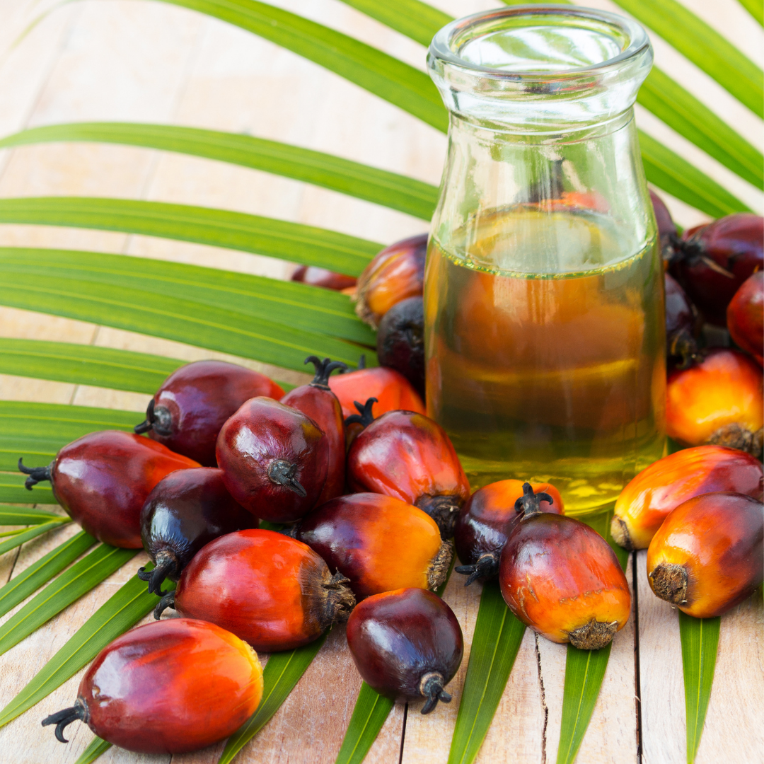 Palm Oil