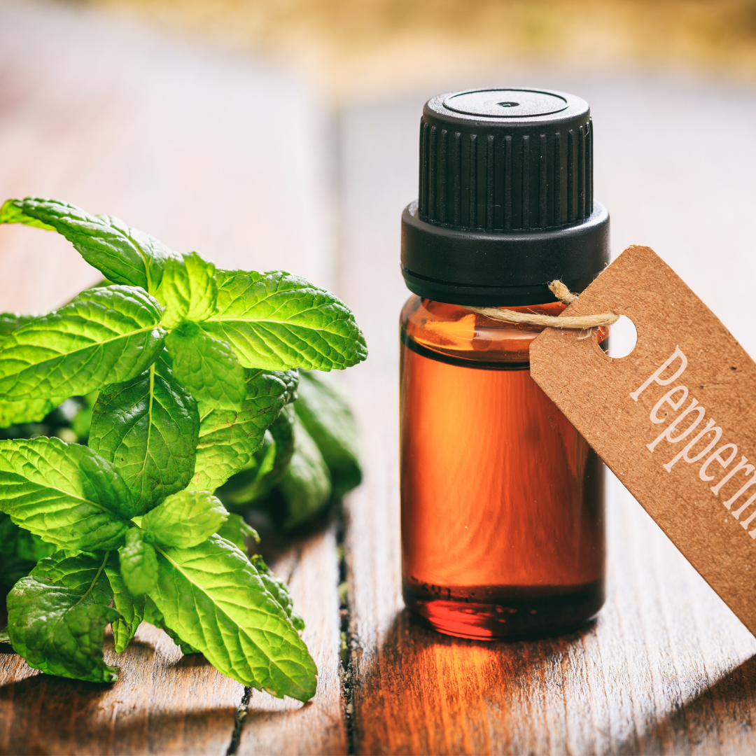 Peppermint Oil Re-Distilled