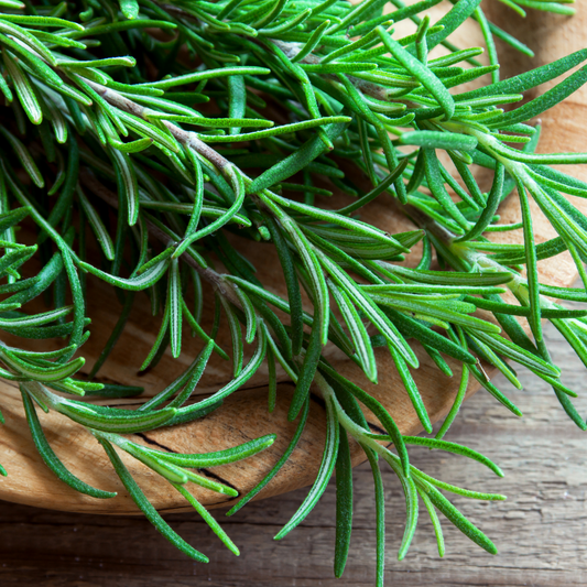 Rosemary Hydrosol