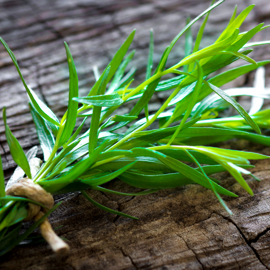 Tarragon Hydrosol