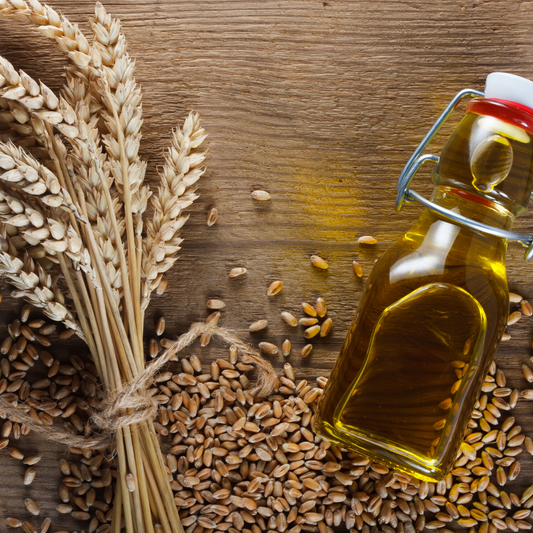 Wheat Germ Oil