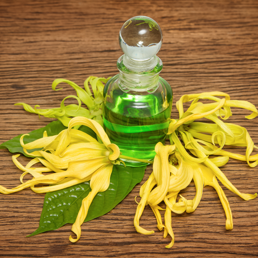 Ylang Ylang Oil